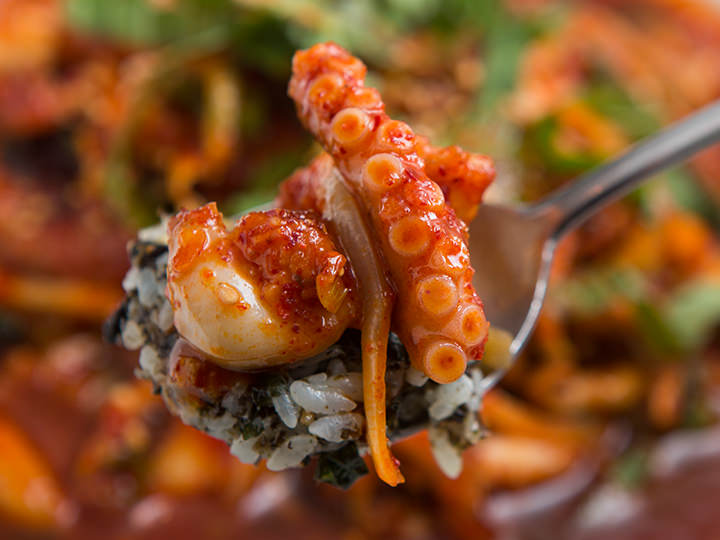 テナガダコをのせていただこう