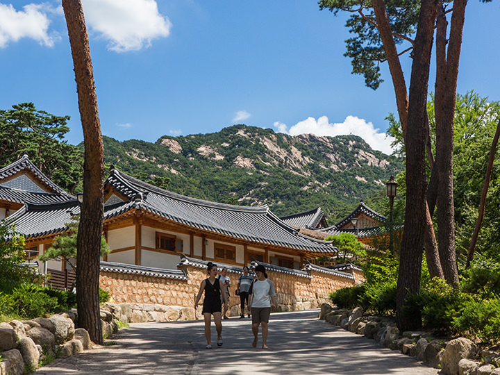 大きな木々に囲まれた道