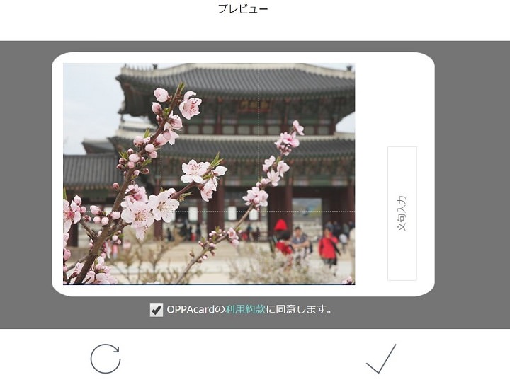 プレビュー画面でお気に入りの写真を編集