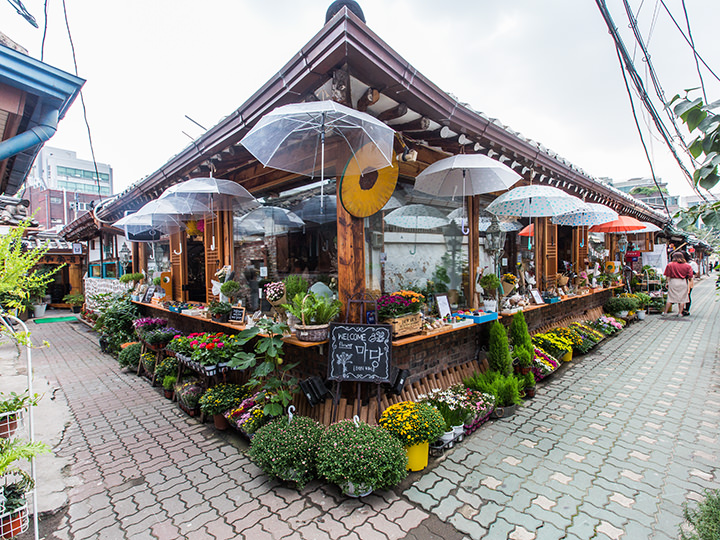 おすすめの韓国フラワーカフェ おすすめの韓国人気カフェ 韓国旅行 コネスト