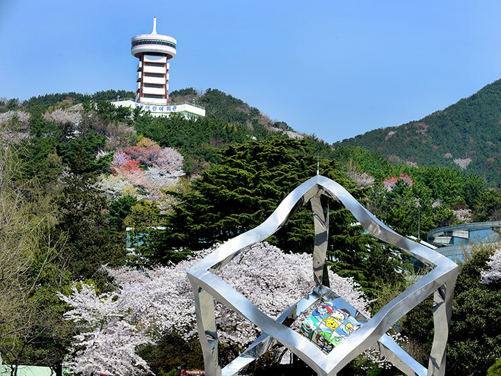 ※写真提供：釜山鎮区 文化観光課