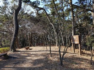 ※写真提供：釜山市西区庁経済緑地課