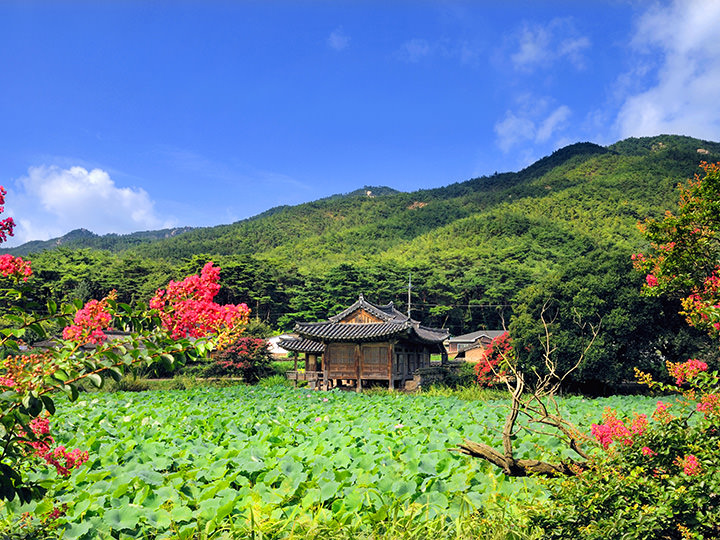 写真提供：慶州市