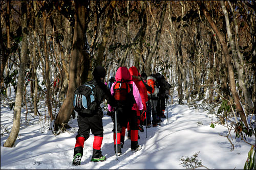 アジョシ・アジュンマたちの登山客