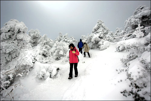 滑らないようにゆっくり下りる