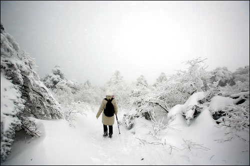しばらく吹雪きに見舞われる