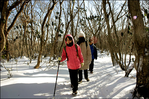 美しい雪景色にうっとりするコネストスタッフ