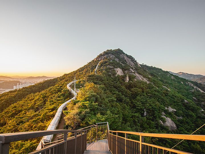 標高300メートル級の山を3つ踏破する登山