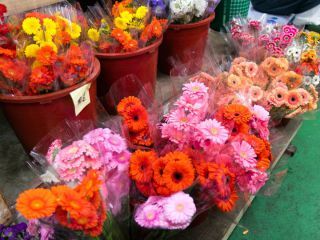 花の品種をメモで表示する店もあります