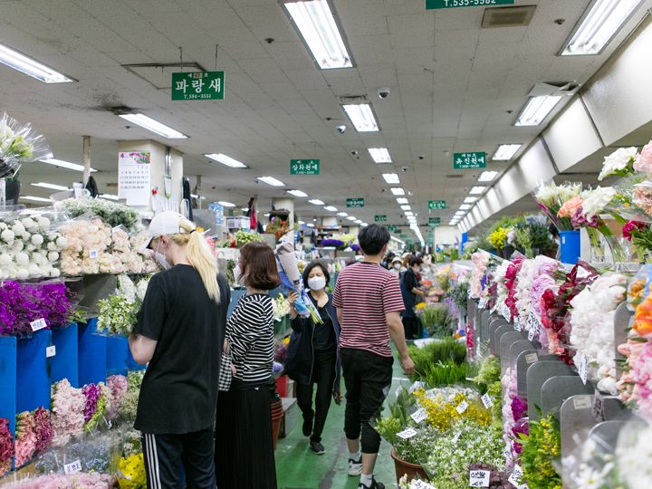 ソウル高速バスターミナル 花卸売市場 江南駅 三成 Coex ソウル のショッピング店 韓国旅行 コネスト ソウル高速バスターミナル 花卸売市場 江南駅 三成 Coex ソウル のショッピング店 韓国旅行 コネスト