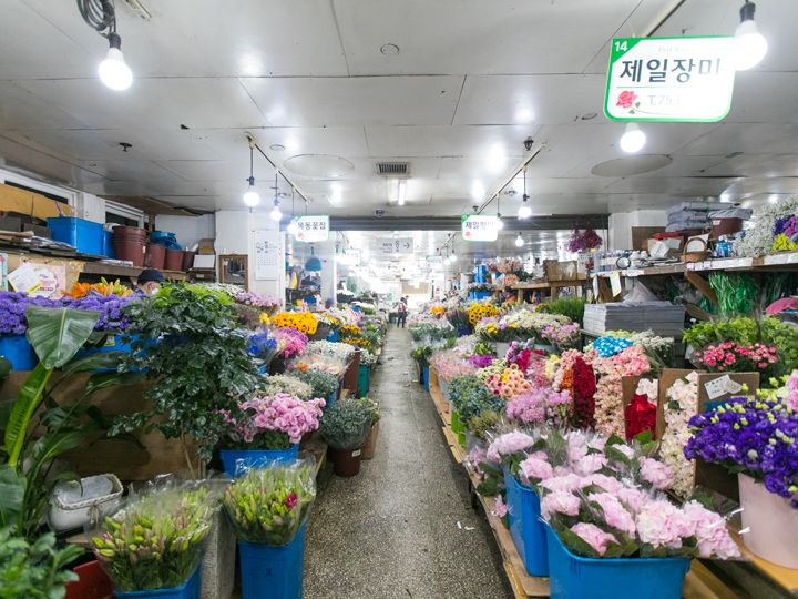 南大門大都花総合商店街 南大門 ソウル駅 ソウル のショッピング店 韓国旅行 コネスト