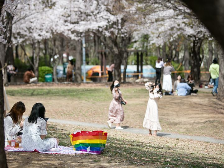 「ソウルの森」