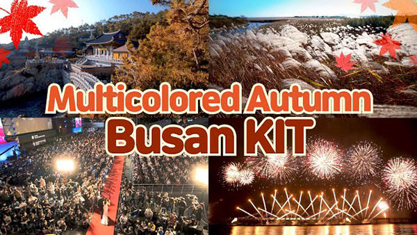 [Multicolored Autumn] Busan KIT