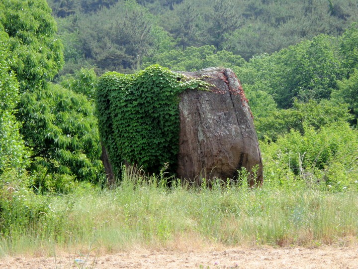 和順支石墓群｜(全州・光州・全羅道)の観光スポット｜韓国旅行「コネスト」