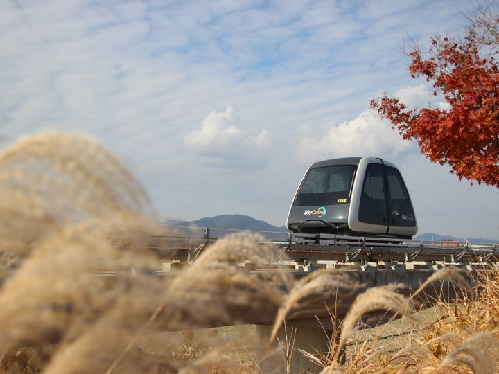 ※写真提供:全羅南道観光財団