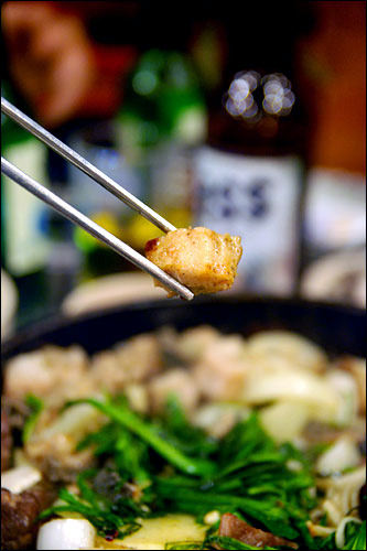 ヤンギンモリ(ミノ)