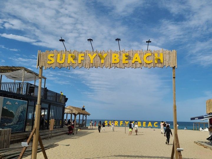 SURFYY BEACH
※写真提供:江原道経済振興院