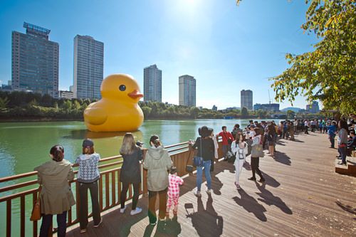 ラバーダック プロジェクト ソウル22 韓国旅行 コネスト