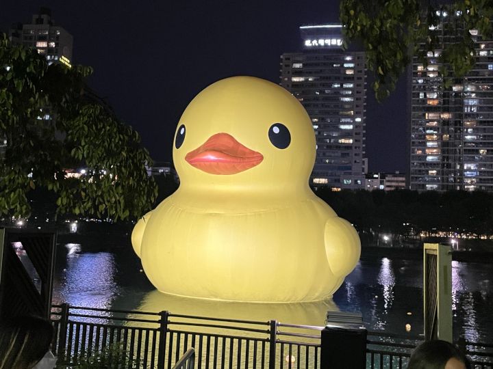 ラバーダック プロジェクト ソウル22 韓国旅行 コネスト