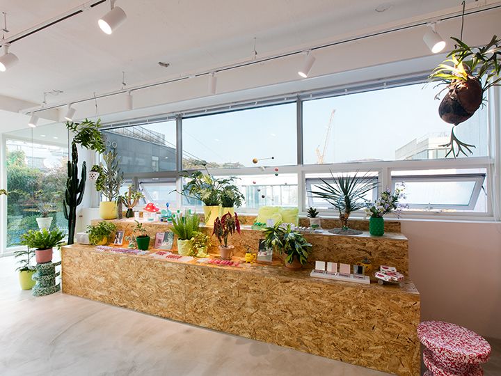 生花と植物が飾られ癒しを与えてくれる「ヴィーガン空間」