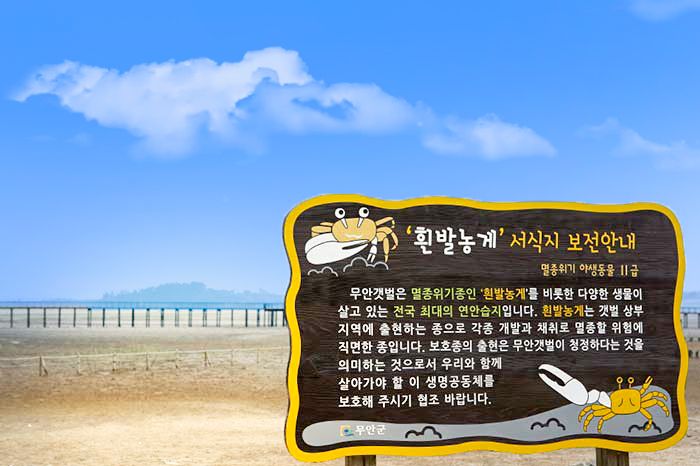 ※写真提供：韓国観光公社