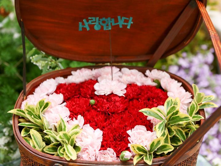 韓国の父母の日 オボイナル 歳時 記念日 韓国文化と生活 韓国旅行 コネスト