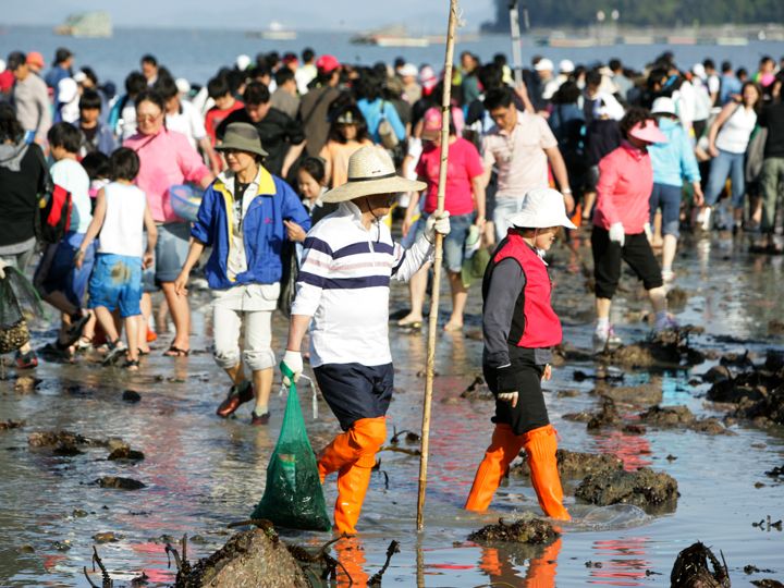 長靴だと足元が安心。