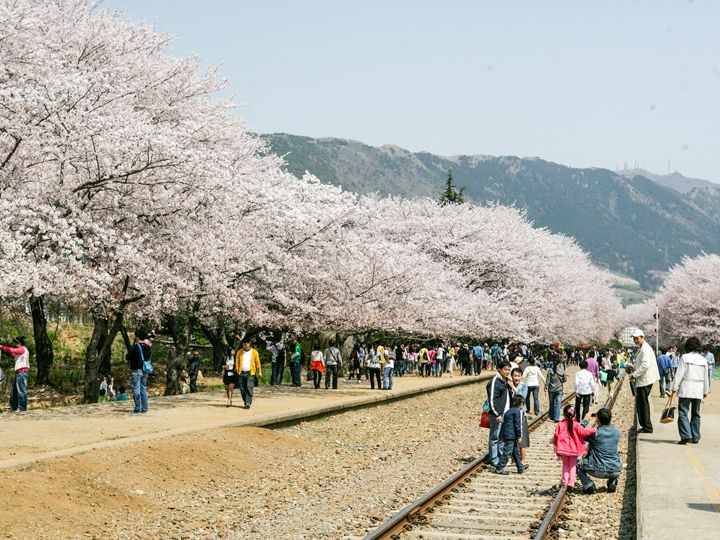 慶和(キョンファ)駅公園
