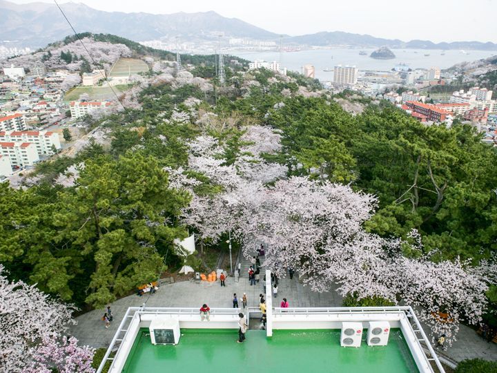 帝皇山(チェファンサン)公園