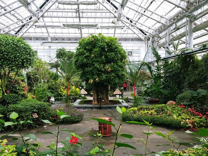 「慶州東宮園」内にある植物園