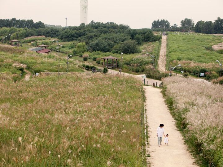 ハヌル公園はススキやコスモス
夕日の名所
停留所番号:2