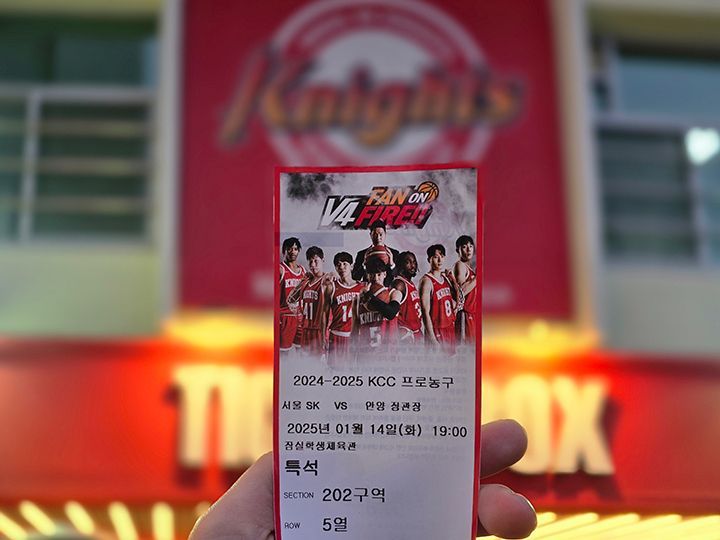 「ソウルSKナイツ」ホームゲーム観戦チケット
