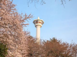 ※写真提供：釜山ダイヤモンドタワー
