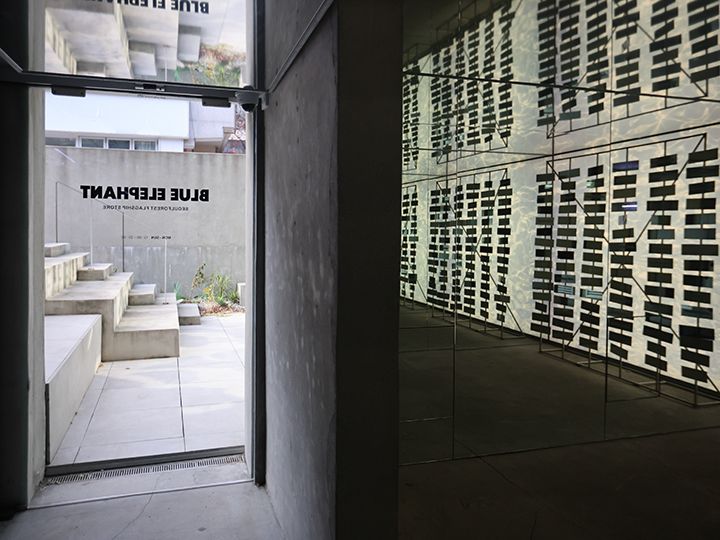 BLUE ELEPHANT ソウルの森フラグシップストア｜聖水洞・ソウルの森