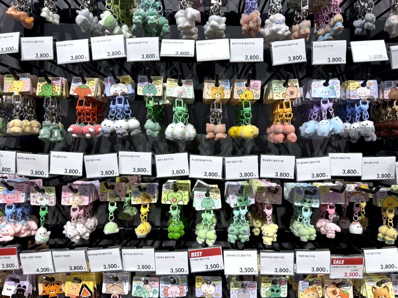 ARTBOX 現代百貨店新村店｜新村・梨大(ソウル)のショッピング店｜韓国