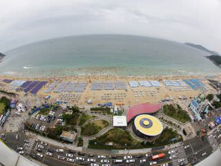 写真提供：シーライフ釜山アクアリウム