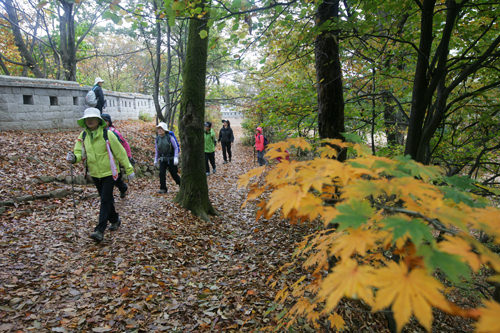 稜線沿いに続く山城