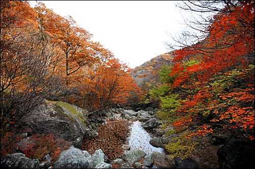 初の海外レース 韓国へ行ってきました Run Boys Run Girls ランボーイズ ランガールズ 東京都 東神田 トレランショップ