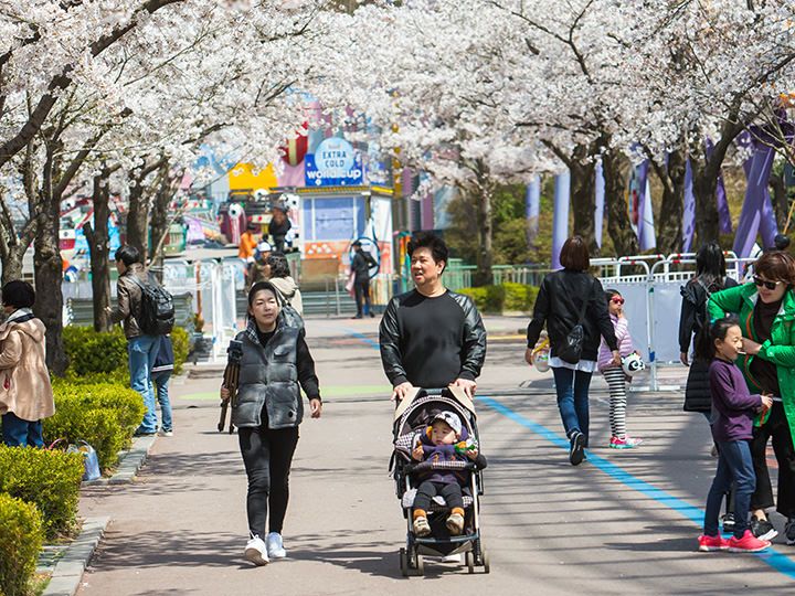 子連れ韓国旅行の楽しみ方 韓国旅行モデルプラン 韓国旅行 コネスト