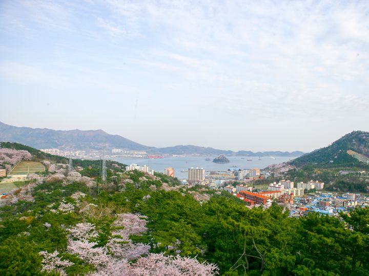 鎮海湾 ※鎮海塔から撮影