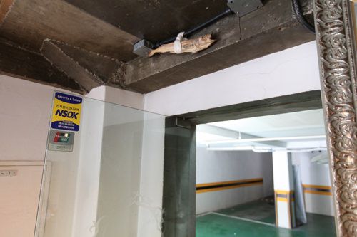 悪い気運をスケトウダラが食べてくれる