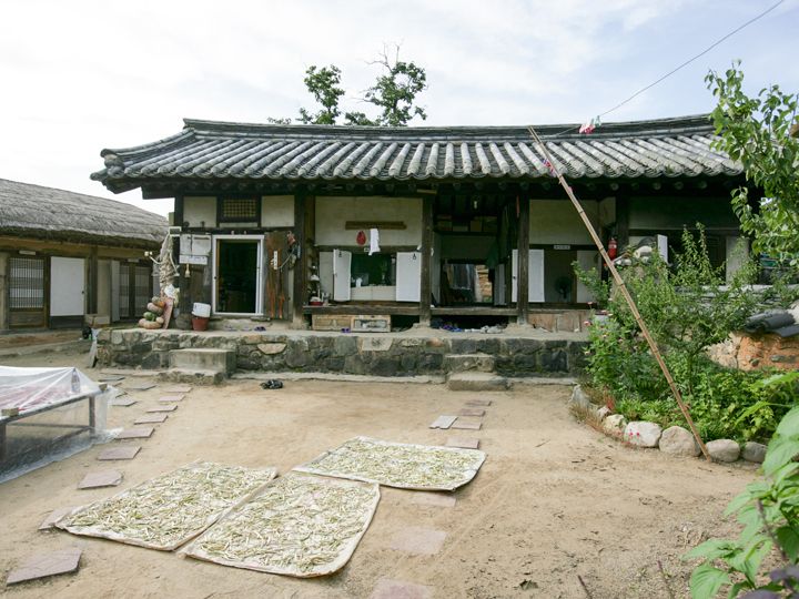 「安東河回村」の写真｜韓国旅行「コネスト」 「安東河回村」の写真