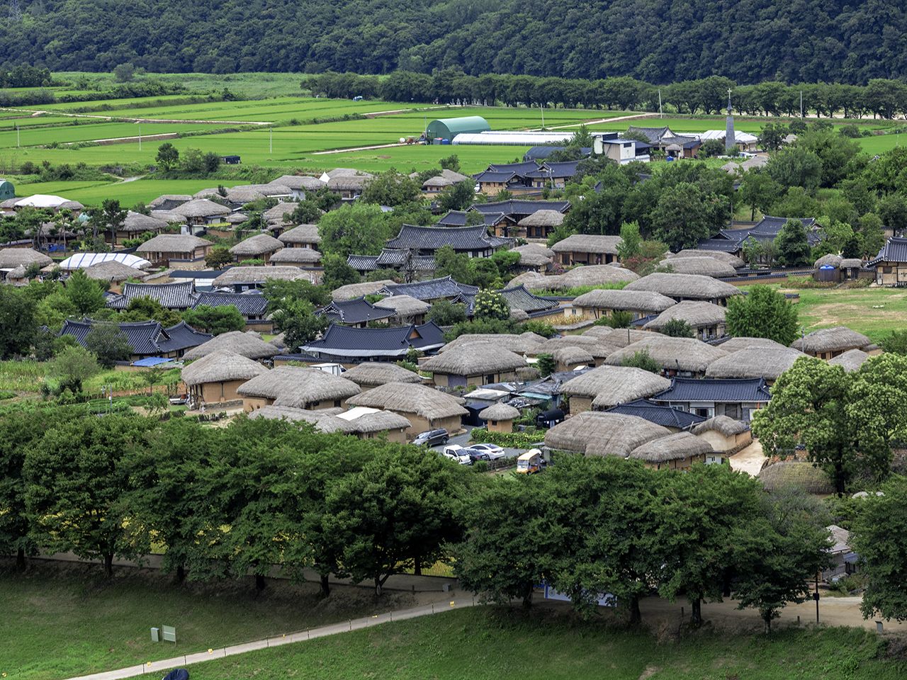 安東河回村｜安東(安東・大邱・慶尚道)の観光スポット｜韓国旅行