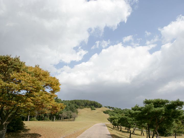 遠くから見た古墳群