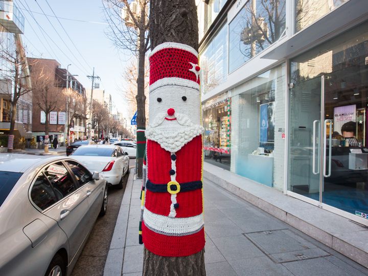 寒さから樹木を守る効果も