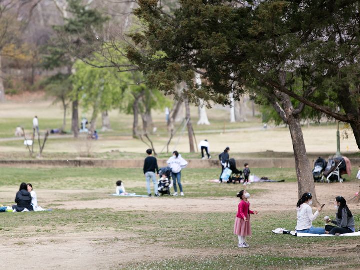 ソウル オリニ大公園｜ソウル東部(ソウル)の観光スポット｜韓国旅行