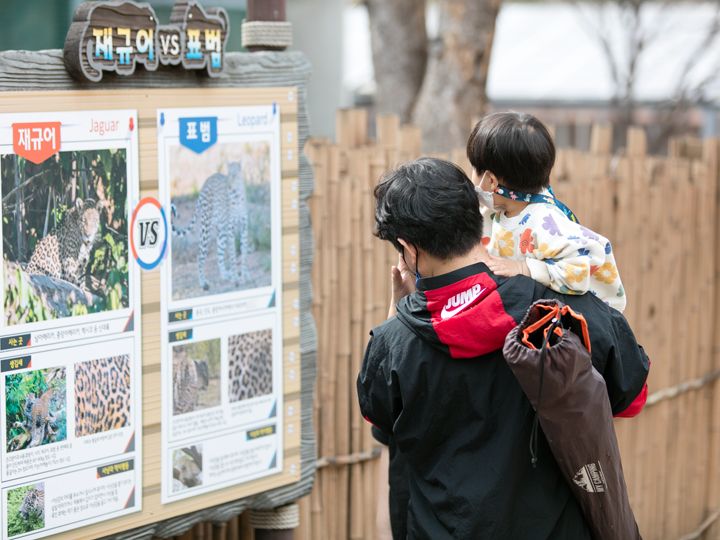 ソウル オリニ大公園｜ソウル東部(ソウル)の観光スポット｜韓国旅行