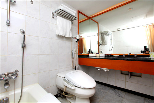 ウォシュレットとバスタブ完備