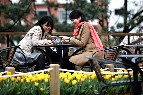 「キレイに撮れたよ」