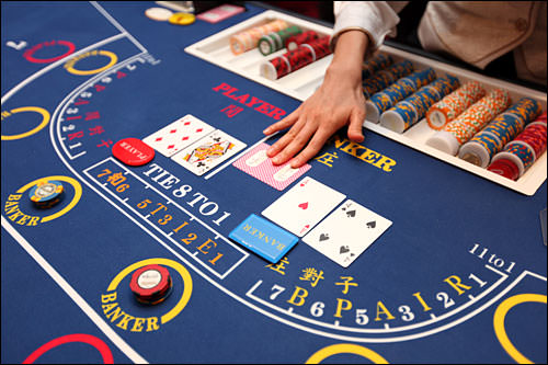 勝敗を決める3枚目のカードの登場に、どきどき…